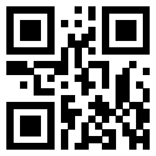 QrCode di 3309516563
