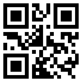 QrCode di 3309598981