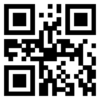 QrCode di 3309599234