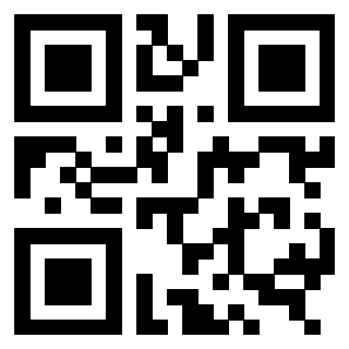 3309599295 - Immagine del QrCode