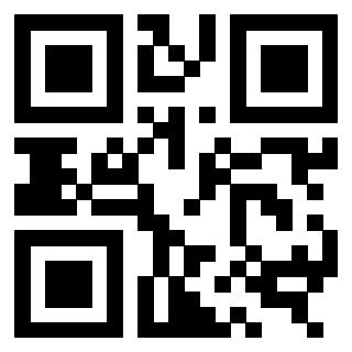 3309636256 Qr Code associato