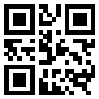 3309636313 - Immagine del QrCode
