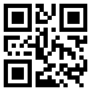 3309636383 Qr Code associato