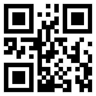 3309641304 - Immagine del QrCode