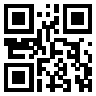 3309666891 - Immagine del QrCode