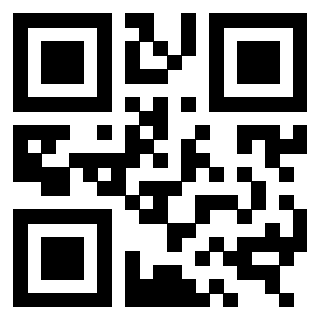 3309666998 - Immagine del QrCode associato