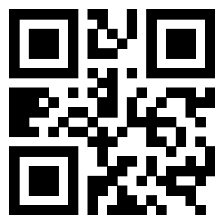 QrCode di 3309667053