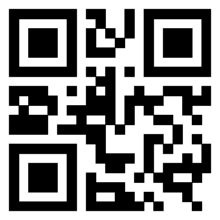 3309667287 - Immagine del QrCode