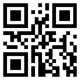 QrCode di 3309667336