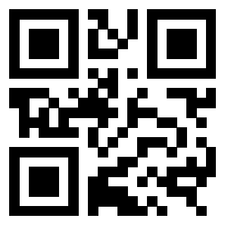 QrCode di 3309667338