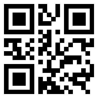 Il Qr Code di 3309695018