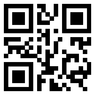 QrCode di 3309695917