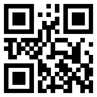 QrCode di 3309743173