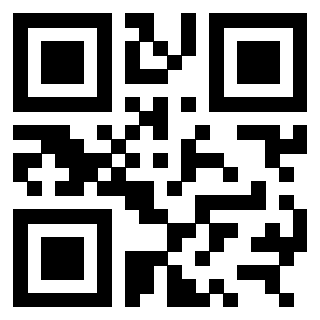 3309743339 - Immagine del QrCode