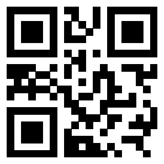 QrCode di 3309743569