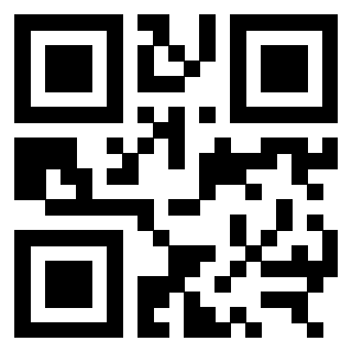 QrCode di 3309807826
