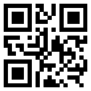 3309808106 - Immagine del QrCode