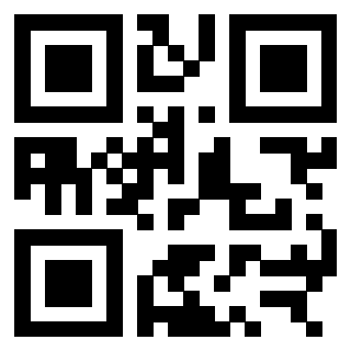 3309843493 - Immagine del QrCode