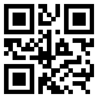 QrCode di 3309843534