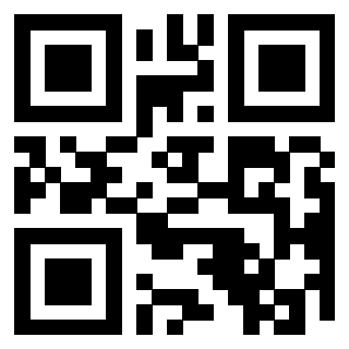 QrCode di 3309843807