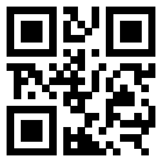 QrCode di 3309844067