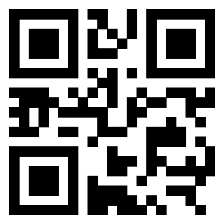 QrCode di 3309844217