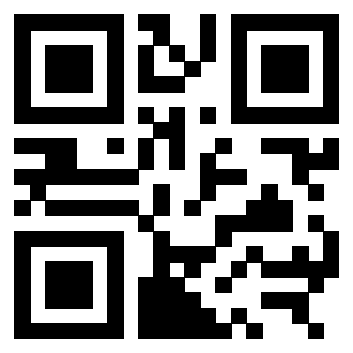 3309844338 - Immagine del QrCode