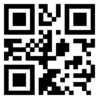 QrCode di 3309873576