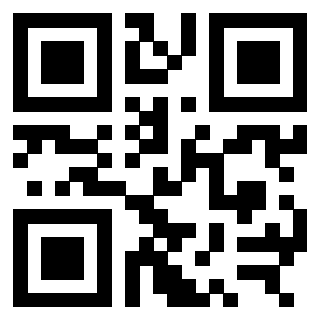 3309873613 QrCode associato
