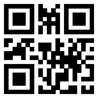 QrCode di 3309873773
