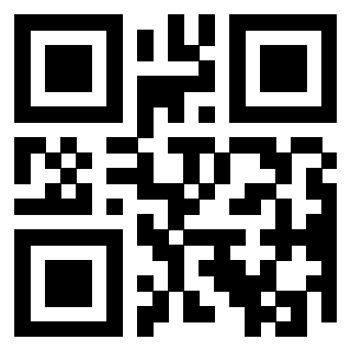 QrCode di 3309873916