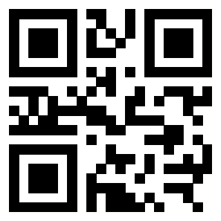 QrCode di 3309874173