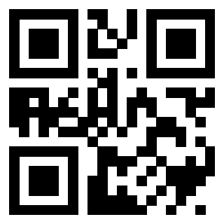 3400132524 - Immagine del QrCode
