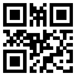 3401329091 - Immagine del QrCode