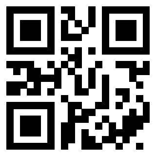 3401960304 - Immagine del QrCode
