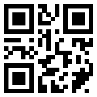 Il Qr Code di 3402392906