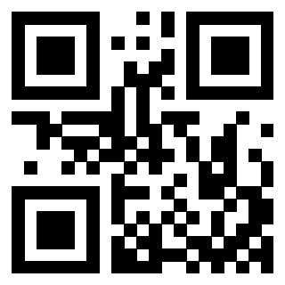 3402487304 - Immagine del QrCode