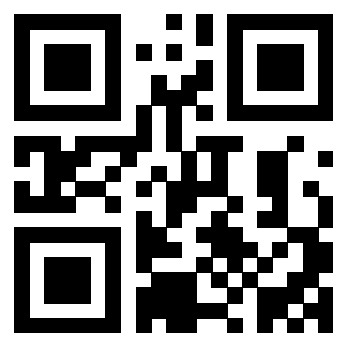 3402647933 - Immagine del QrCode