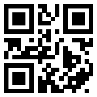 Il Qr Code di 3402821306