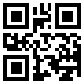 3404028993 Qr Code associato