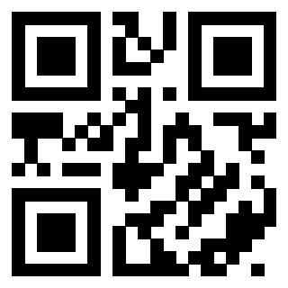 QrCode di 3404029529