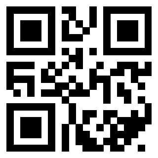 Il Qr Code di 3404335613
