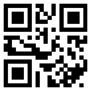 QrCode di 3404335994
