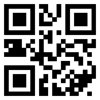 QrCode di 3404336248
