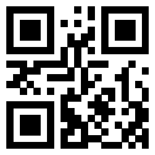 3404336463 - Immagine del QrCode