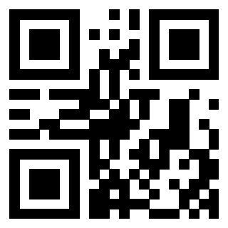 QrCode di 3404356957