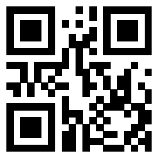 3404787300 - Immagine del QrCode