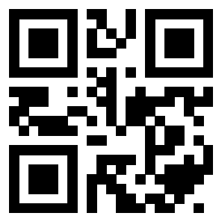 QrCode di 3404787817