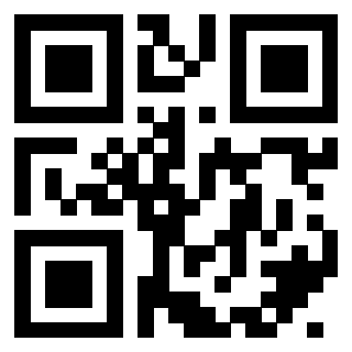 QrCode di 3404965295