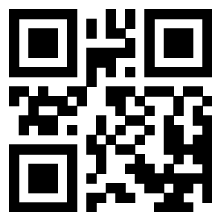 Il Qr Code di 3404965358